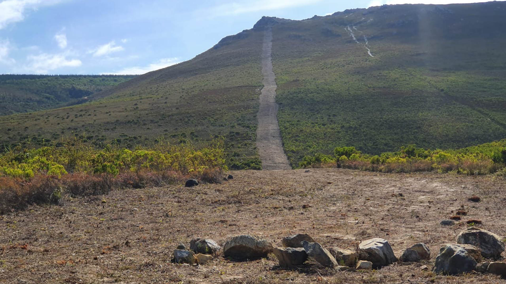 Forestry Support Programme Creates Jobs And Decreases Fire Risks Kishugu